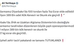 Diyarbakır'da 12,3 milyon kök kenevir ve skunk ele geçirildi; 22 tutuklama
