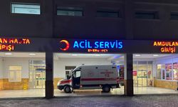 Eski muhtar arazi tartışmasında kardeşini öldürüp, oğlu ve diğer kardeşini yaraladı
