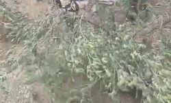 Gabar Dağı'nda düşüp yaralandı, askeri helikopterle alındı / Ek fotoğraflar
