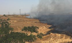 Gaziantep’te anız yangını; 300 dönüm alanda etkili oldu