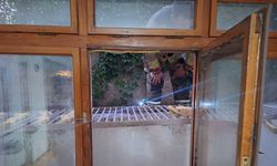 Havalandırma boşluğunda mahsur kalan 2 yavru kediyi itfaiye kurtardı