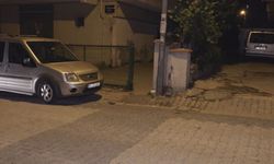 İstanbul- Ataşehir'de Pitbull'un saldırdığı 7 yaşındaki Ahmet'in annesi: Tasması yok, boynunda ipi yok