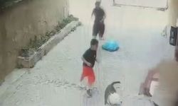 İstanbul - Ataşehir’de serbest bırakılan Pitbull'un 7 yaşındaki çocuğa saldırdığı anlar kamerada: 2 şüpheli serbest bırakıldı