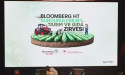 İstanbul - Bakan Yumaklı: Denetimlerde limit üstü kalıntı tespit edilen gıda ürünleri imha ediliyor