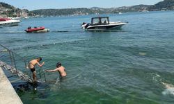 İstanbul-Ölü yunus Bebek sahilinde karaya vurdu; çöp konteynerine atıldı