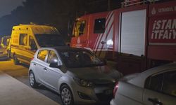 İstanbul - Pendik'te ormanda kaybolan kişi için arama çalışması / Geniş haber