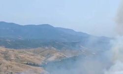 İzmir’de makilik yangını