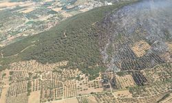 İzmir'de orman yangını; 4 gözaltı (5)