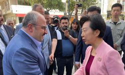 İznik ve Çin arasında seramikte iş birliği