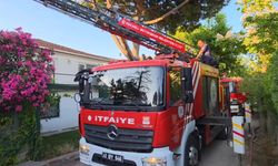 Kocaeli’de 2 katlı yalı alev alev yandı