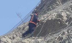 Koruma ağlarına takılan yabani keçiler kurtarıldı