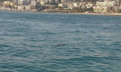 Kuşadası'nda, denizde erkek cesedi bulundu