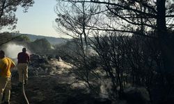 Mangal yaparken ormanı yakmış; tutuklandı
