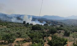 Manisa'da tarım arazisindeki yangın, ormanı da yaktı