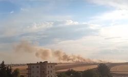 Mardin'de 350 dönüm buğday ekili alan yandı