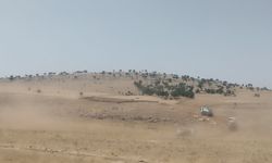 Mardin'de orman yangını (2)