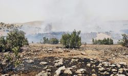 Mardin'de orman yangını (4)