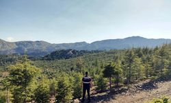 Muğla'da ormanlara girişler yasaklandı