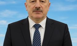 Nesli tükenme tehlikesindeki kum zambağı Samsun'da çoğaldı