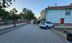 Park halindeki otomobile çarpıp devrilen kamyonetin sürücüsü yaralandı
