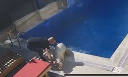 Sahibinden kaçan koçun, bir villanın bahçesindeki havuza girdiği anlar kamerada