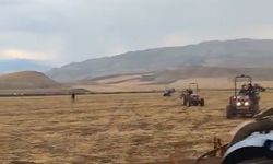 Siirt’te yıldırımın isabet ettiği çam ağacı yarıldı, 200 dönüm buğday yandı