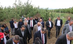 TBMM Zirai Don Olayını Araştırma Komisyonu, Kayseri'de