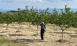 TZOB Genel Başkanı Bayraktar: 2025’e afet açısından çok hızlı başladık