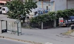 Yaya geçidinde defalarca karşıya geçip geri döndü