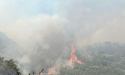 Aydın'da orman yangını (2)