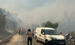 Aydın'da orman yangını