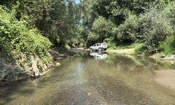 Bartın Irmağı'nda balık ölümleri