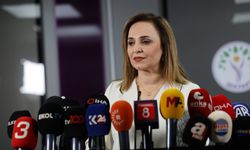 DEM Parti'li Doğan: Silahların tümden devre dışı kalması için ilk adıma hazırlanılıyor