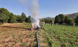 Diyarbakır'da 4,4 milyon kök kenevir ele geçirildi; 17 tutuklama