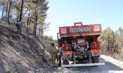 Eskişehir'de çıkıp, Afyonkarahisar'a sıçrayan yangın kontrol altında
