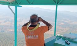 Gaziantep'te ormanlar 24 saat gözetleniyor