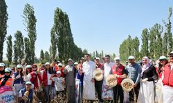 Gönüllü gençler hasat için tarım alanlarında