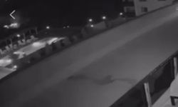 Havai fişek atıp yangın çıkaran 2 kişi, 100’er adet ağaç dikecek