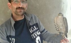 Miras kavgasında yengesini yaralayıp intihar etti