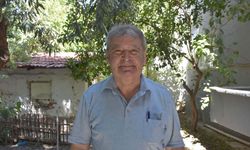 Prof. Dr. Doğan Yaşar: İzmir'de orman yangınlarında yanan alan rekoru kırıldı
