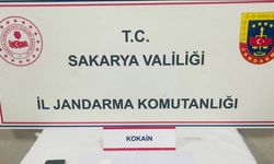 Sakarya'da uyuşturucuya 1 tutuklama
