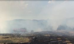Tarım arazisinde çıkan yangın 3 saatte kontrol altına alındı
