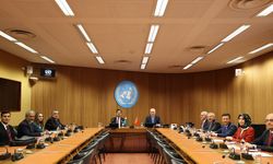 TBMM Başkanı Kurtulmuş, Pakistan Senatosu Başkanı Gilani ile görüştü
