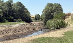 Tunca Nehri'nin kuruma noktasına geldiği Edirne’de çeltik üreticisi endişeli