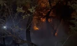 Adana'da orman yangını (2)