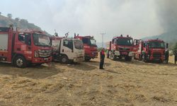 Adıyaman'da orman yangınına havadan ve karadan müdahale
