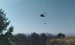Ankara'da ot yangınında alevler ormana sıçradı