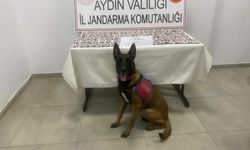 Aydın'da 1383 sentetik hap ele geçirildi: 3 gözaltı