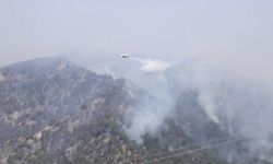 Aydın'da orman yangını 2'nci gününde