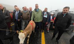 Bakan Memişoğlu: Güçlü olmamız lazım ki bu katliamlar ileride olmasın